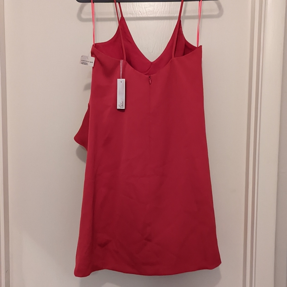 Hot Pink Ruffle dress - Picture 4 of 4